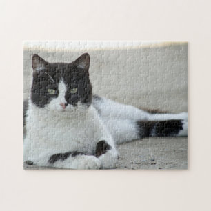 Puzzle Photo de chat noir et blanc Tuxedo