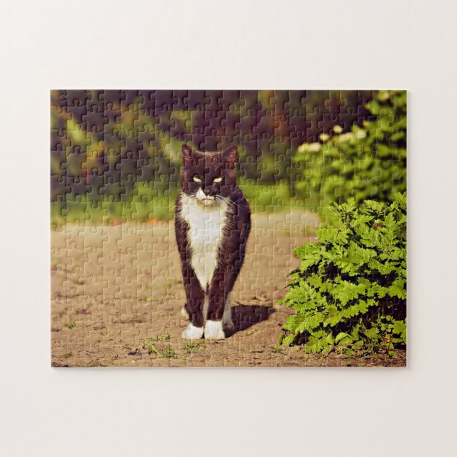 Puzzle Photo de chat Tuxedo noir et blanc (Horizontal)