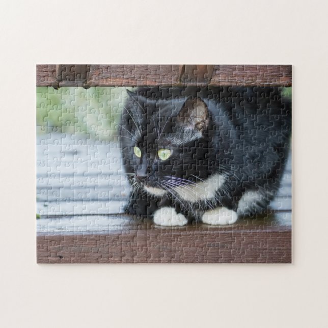 Puzzle Photo de chat Tuxedo noir et blanc (Horizontal)