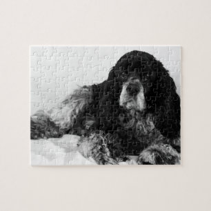 Puzzle Photo de Cocker Spaniel noir et blanc