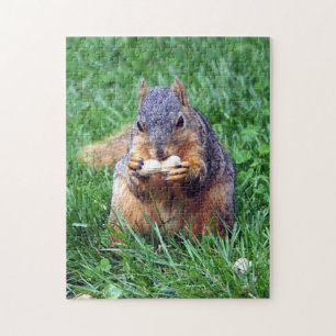 Puzzle Photo de Cute Squirrél Peanut