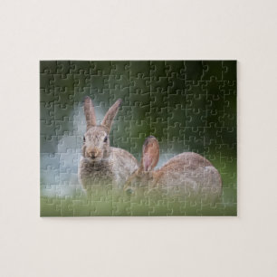 Puzzle Photo de faune de lapins