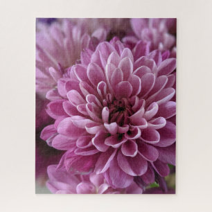 Puzzle Photo de fleur de chrysanthème rose