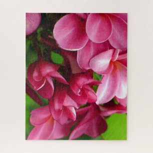 Puzzle Photo de fleur de Plumeria rose