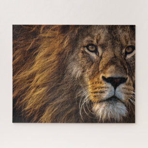 Puzzle Photo de gros plan de visage de lion