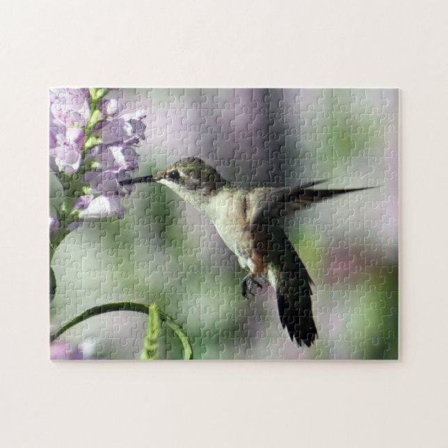 Puzzle Photo de la faune rose de colibri (Horizontal)