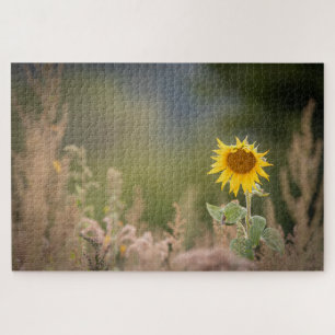 Puzzle Photo de la nature des tourntournesols