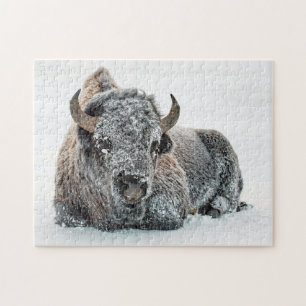 Puzzle Photo de la neige de Buffalo