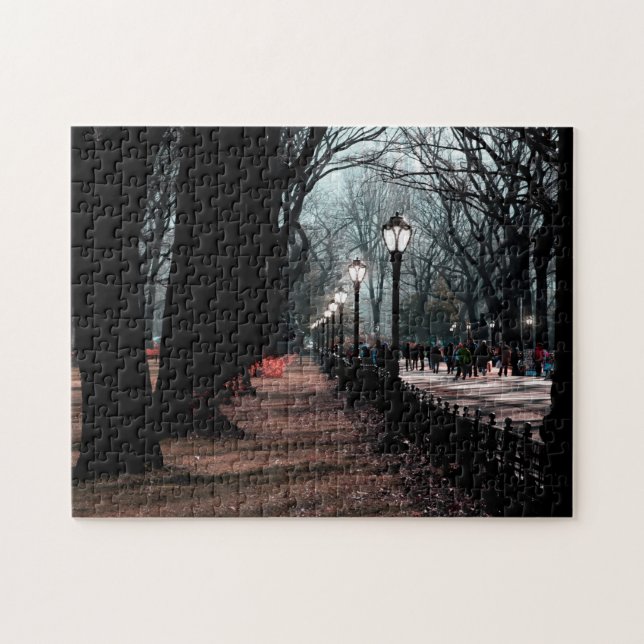 Puzzle Photo de lampadaires de paysage de Central Park (Horizontal)