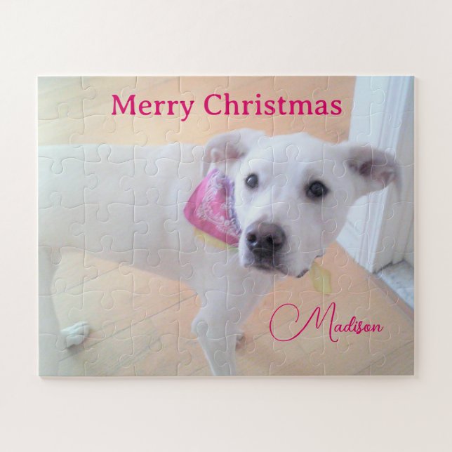 Puzzle Photo de mignon chien blanc portant l'écharpe Nom  (Horizontal)