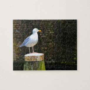 Puzzle Photo de mouette côtière et de faune océanique