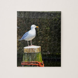 Puzzle Photo de mouette côtière et de faune océanique