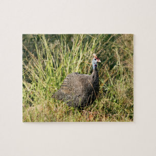 Puzzle Photo d'oiseau sud-africain de pintade de Lowveld