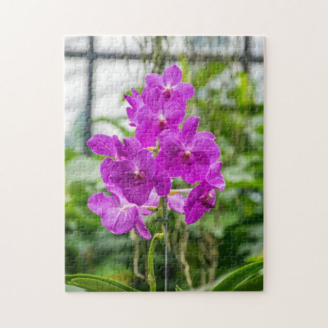 Puzzle photo d'orchidées (Vertical)