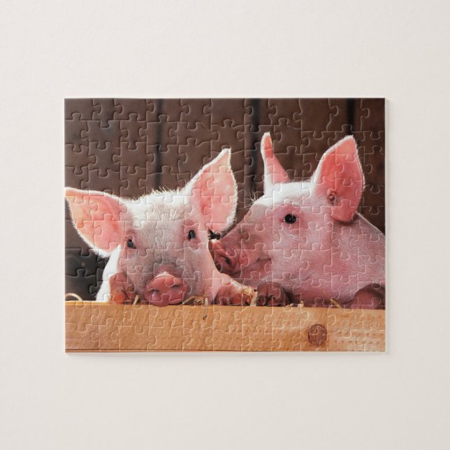 Puzzle Photo d'un animal de porcelets roses mignons (Horizontal)