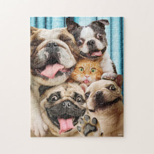 Puzzle Photo d'un groupe de chiens et de chats