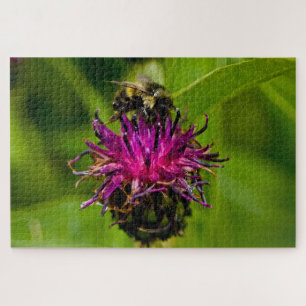 Puzzle Photo d'une belle fleur violette avec abeille