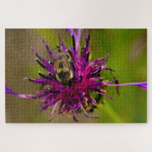 Puzzle Photo d'une belle fleur violette avec abeille