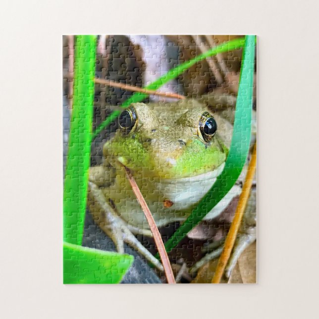 Puzzle Photo d'une grenouille du Minnesota. (Vertical)