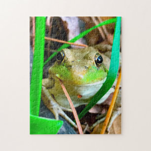 Puzzle Photo d'une grenouille Minnesota.