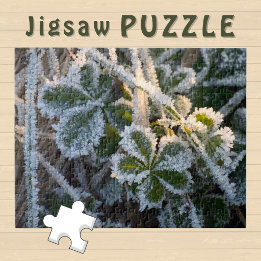 Puzzle Photo esthétique de feuilles hivernales recouverte