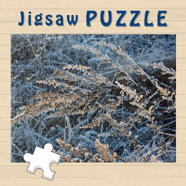 Puzzle Photo esthétique de l'herbe d'hiver sous la glace