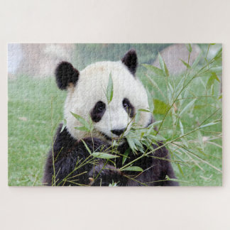 puzzle Photo giant panda , animals 0343.