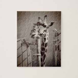 Puzzle Photo Giraffe - Style Vintage