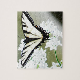 Puzzle Photo papillon de l'épaisse du tigre oriental