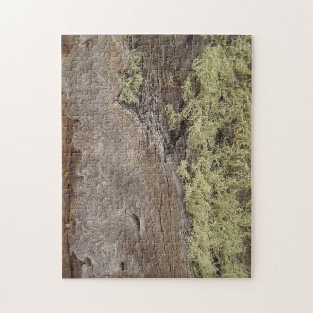 Puzzle Photo Patiné Ponderosa Pine Tree Bark (Vertical)
