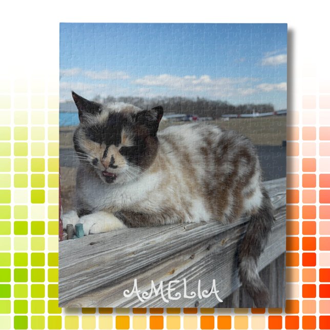 Puzzle Photo pour animaux de compagnie, Nuit de famille,  (Créateur téléchargé)