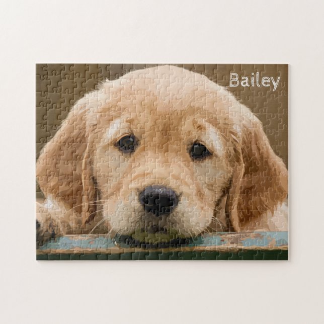 Puzzle Photo pour animaux - Golden Retriever - Photo pour (Horizontal)