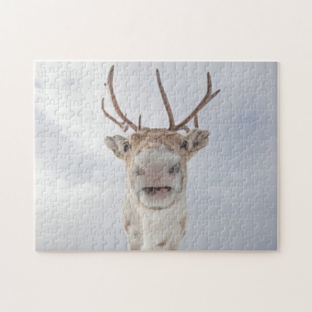 Puzzle Photo Reindeer (Horizontal)