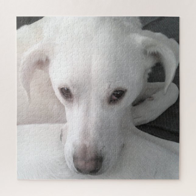 Puzzle Photo unique de White Labrador Retriever Mix Dog (Vertical)