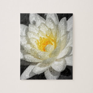 Puzzle Photo White Water Lily