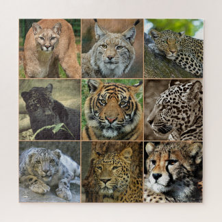 Puzzle photo Wild Cats
