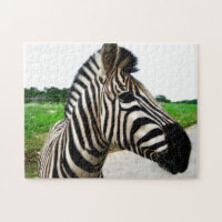 Photographie cool Zebra