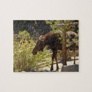 Puzzle Photographie de nature de l'orignal des montagnes
