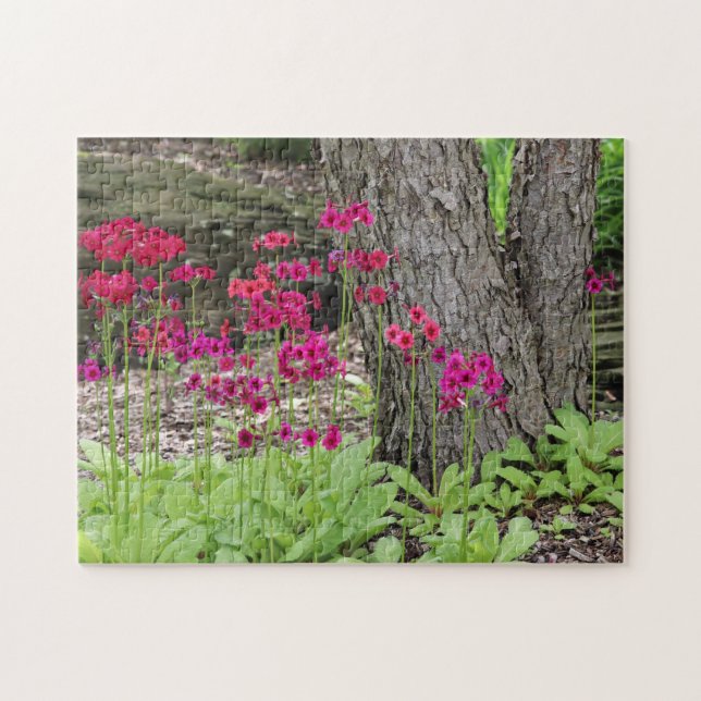 Puzzle Photographie de Primrose fleur sauvage (Horizontal)