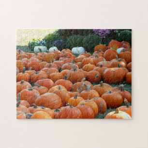 Puzzle Photographie de récolte d'automne des citrouilles 