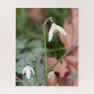 Puzzle Photographie des perce-neige de printemps