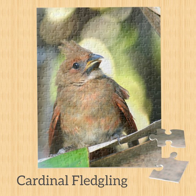 Puzzle Photographie du cardinal naissant Baby Bird (Créateur téléchargé)