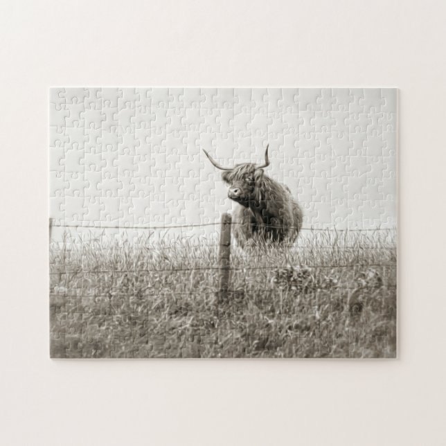 Puzzle Photographie écossaise de vache (Horizontal)