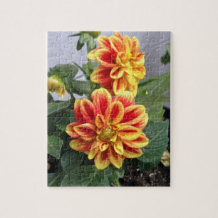 Puzzle Photographie florale orange