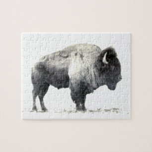 Puzzle Photographie historique du bison américain