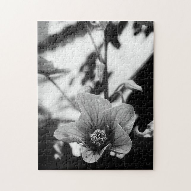 Puzzle Photographie noir et blanc (Vertical)