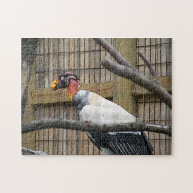 Puzzle Photographie vautour (Horizontal)