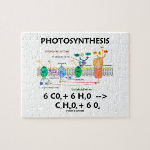 Puzzle Photosynthèse (Formule Chimique Dépendante De La L