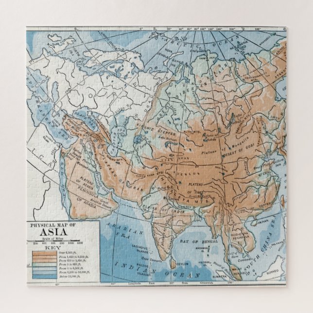 Puzzle Physical Map of Asia (Vertical)