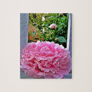 Puzzle Pickets de jardin Rustique rose Peony